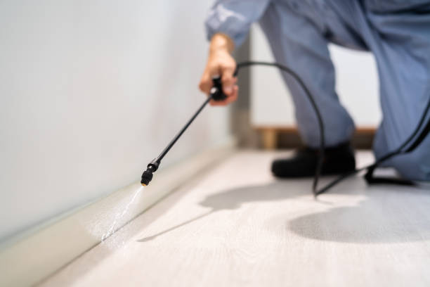 Certified termite inspector examining foundation in Dexter
